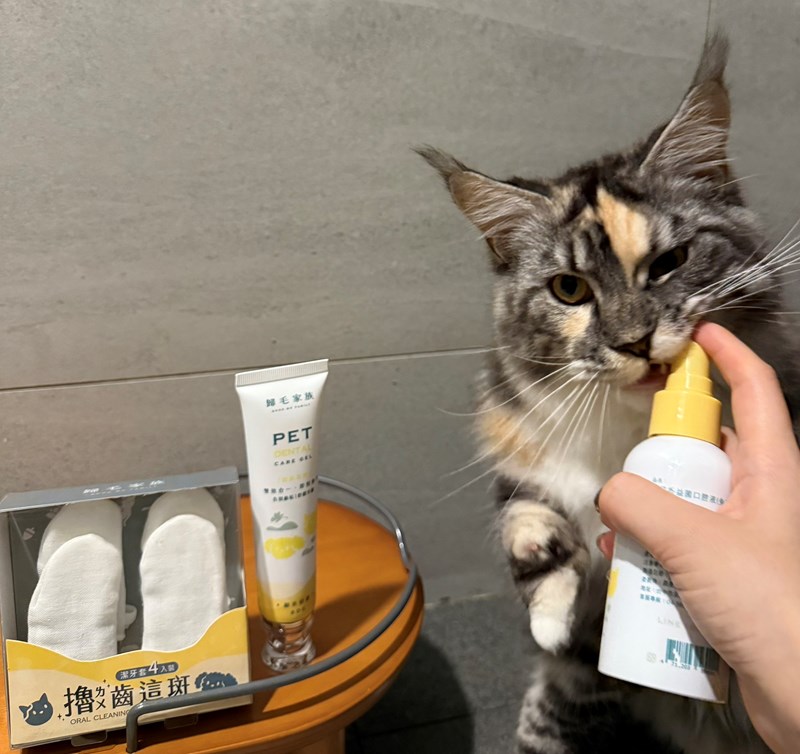 試用